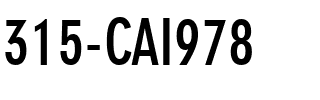 315-CAI978 Regular.ttf