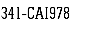 341-CAI978 Regular.ttf