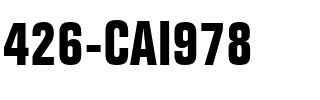426-CAI978 Regular.ttf