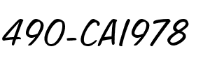 490-CAI978 Regular.ttf