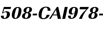 508-CAI978 508-CAI978 .ttf