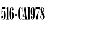 516-CAI978 Regular.ttf