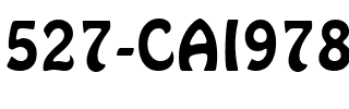 527-CAI978 Regular.ttf