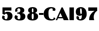 538-CAI978 Regular.ttf