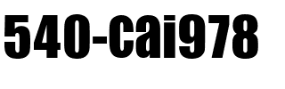 540-CAI978 Regular.ttf