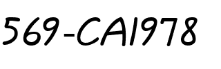 569-CAI978 Regular.ttf