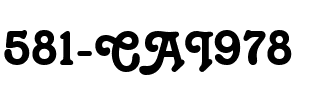581-CAI978 Regular.ttf