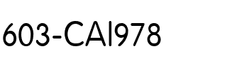 603-CAI978 Regular.ttf