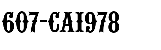 607-CAI978 Regular.ttf