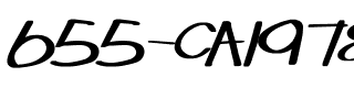 655-CAI978 Regular.ttf