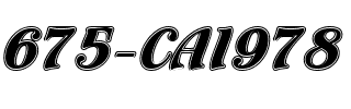 675-CAI978 Regular.ttf