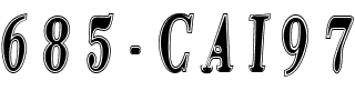 685-CAI978 Regular.ttf