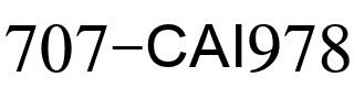 707-CAI978 Regular.ttf