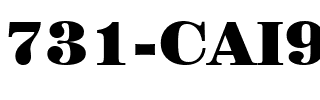 731-CAI978 Regular.ttf