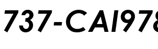 737-CAI978 Gras Italique.ttf