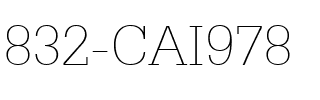 832-CAI978 Regular.ttf