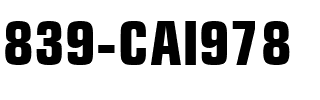 839-CAI978 839-CAI978.ttf