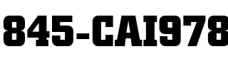 845-CAI978 Regular.ttf