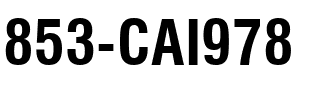 853-CAI978 853-CAI978.ttf