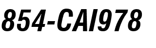 854-CAI978 854-CAI978.ttf