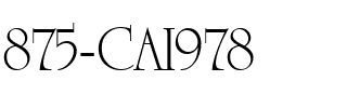 875-CAI978 Regular.ttf