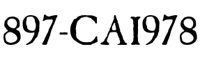 897-CAI978 Regular.ttf