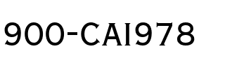 900-CAI978 Regular.ttf