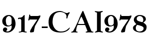 917-CAI978 Regular.ttf