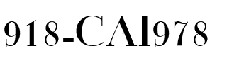918-CAI978 Regular.ttf