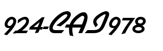 924-CAI978 924-CAI978.ttf