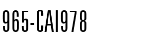 965-CAI978 Regular.ttf