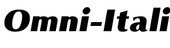 Omni Italic.ttf