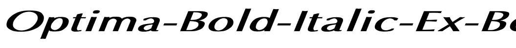Optima Bold Italic Ex BI Bold Italic.ttf