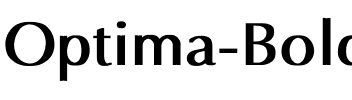 Optima Bold.ttf