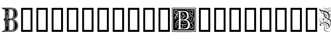 Ornamental Initials B Regular.ttf