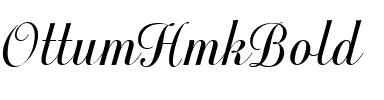 OttumHmkBold Regular.ttf