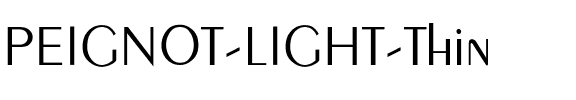 PEIGNOT-LIGHT-Thin Regular.ttf