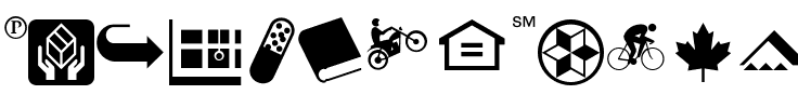 PIXymbolsDingbats Medium Italic.ttf