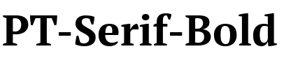 PT Serif Bold.ttf
