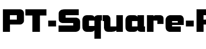 PT Square Peg Normal.ttf