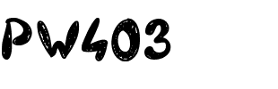 PW403 Medium.ttf