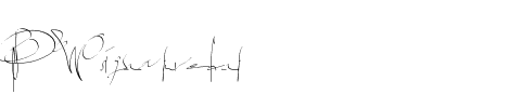 PWsignaturefont Medium.ttf