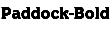 Paddock Bold.ttf