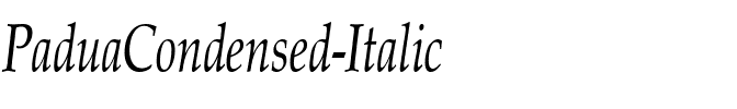 PaduaCondensed Italic.ttf