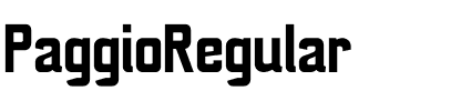 PaggioRegular Regular.ttf