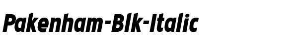 Pakenham Blk Italic.ttf