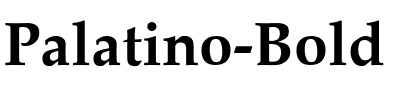 Palatino-Bold Regular.ttf