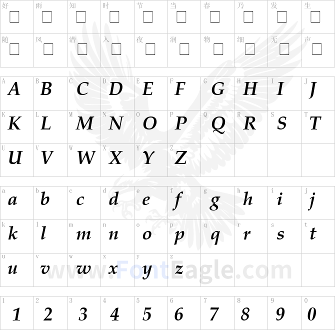 Palatino-CE-Bold-Italic