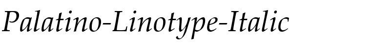 Palatino Linotype Italique.ttf