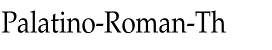 Palatino-Roman Th Regular.ttf